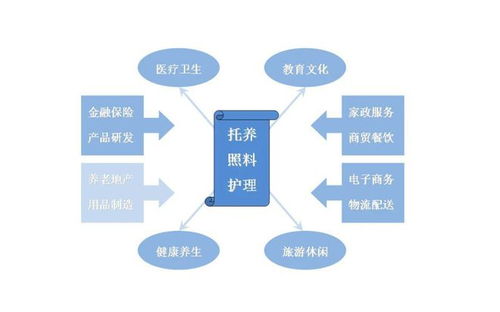 互联网养老服务系统 信息服务的创新与变革