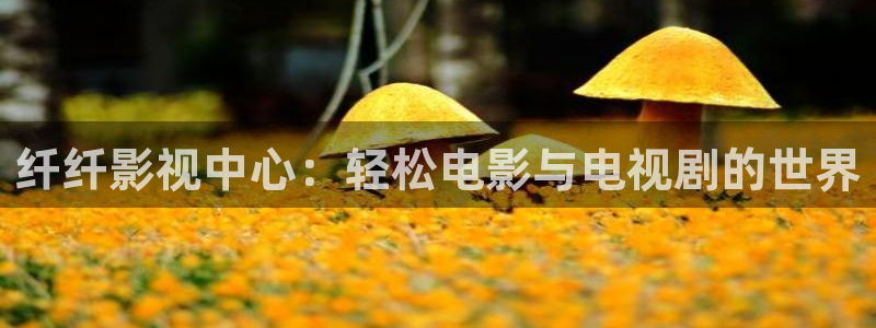 酷客影院电影电视剧免费