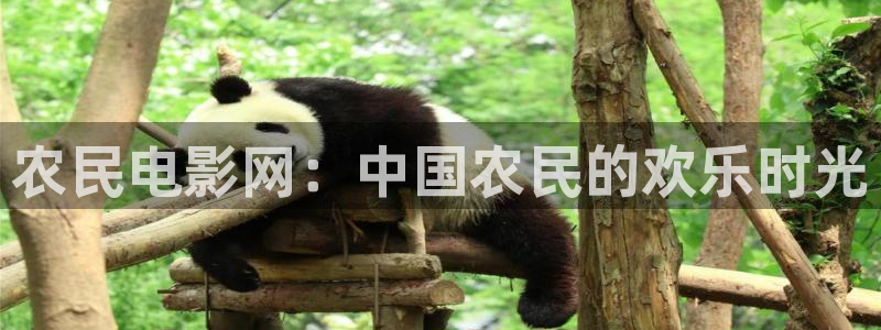 酷客影院女儿的朋友：农民电影网：中国农民的欢乐时光