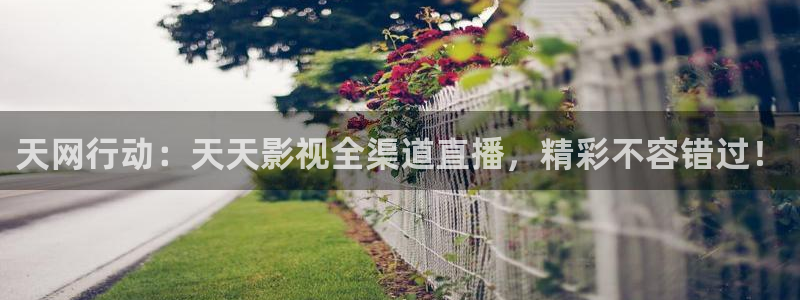 酷客影视伦理：天网行动：天天影视全渠道直播，精彩不容错过！