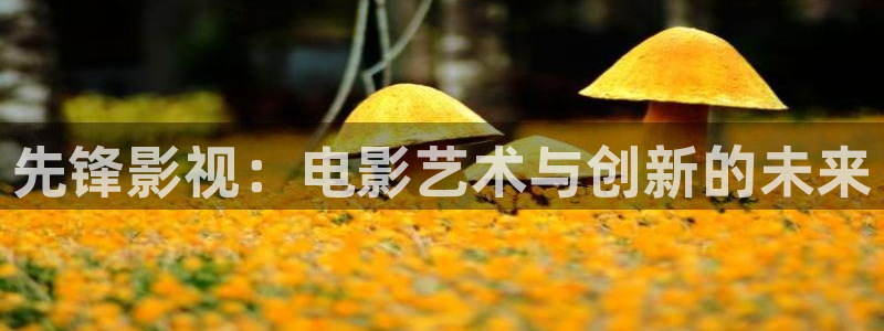 酷客影视免费观看大全：先锋影视：电影艺术与创新的未来