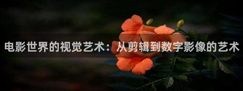 酷客影院最新电影