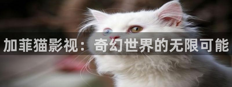 酷客影院手机在线观看：加菲猫影视：奇幻世界的无限可能