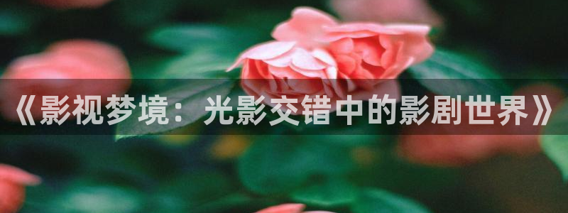 酷客在线观看：《影视梦境：光影交错中的影剧世界》