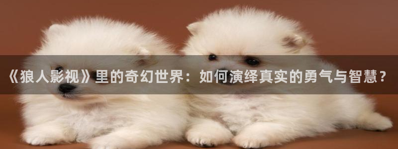 酷客影院电影电视剧免费