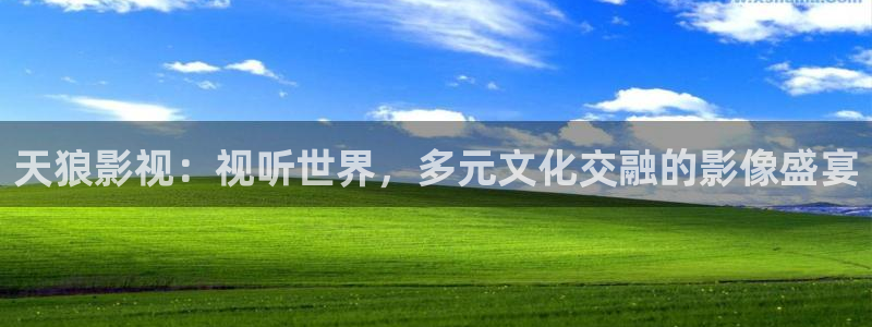 酷客影院在线电视剧免费：天狼影视：视听世界，多元文化交融的影像盛宴