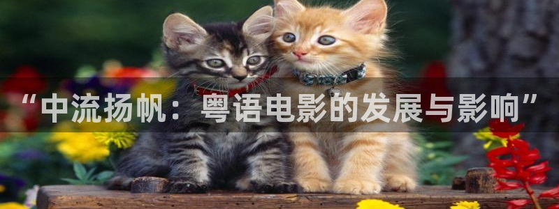 酷客影院手机在线观看免费：“中流扬帆：粤语电影的发展与影响”